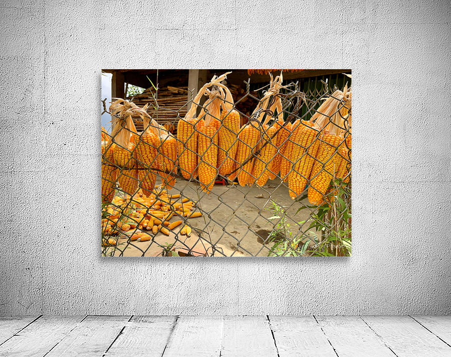 Corn Hanging on the Fence Wall Preview