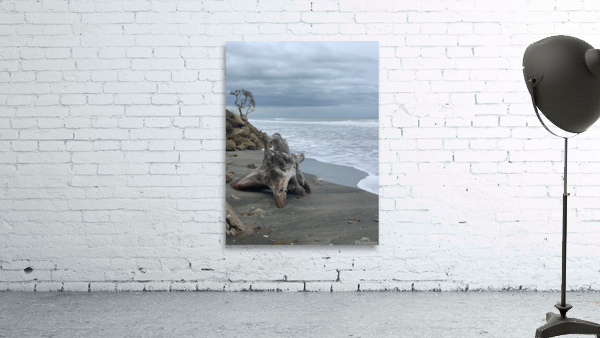 Dark Beach Wall Preview