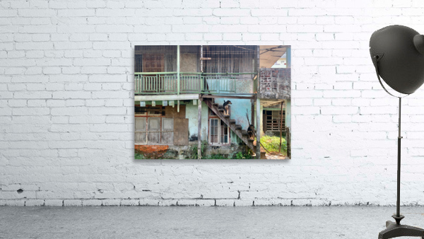 Dogs looking Left Wall Preview