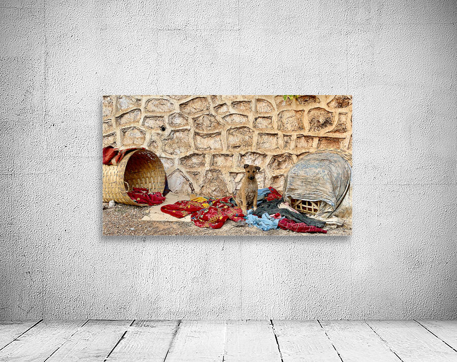 Dog Taking Over a Shop Wall Preview