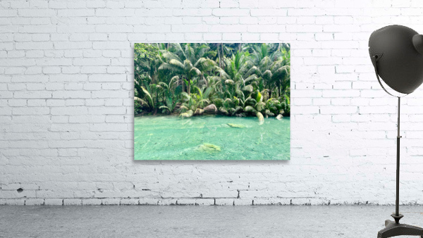 Jungle Green Wall Preview