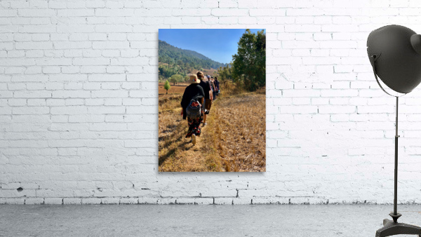 Follow the Path Wall Preview