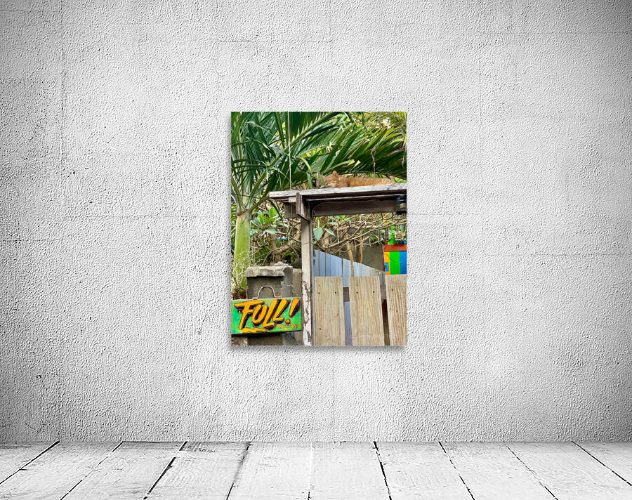 Full House Kitty Cat Wall Preview