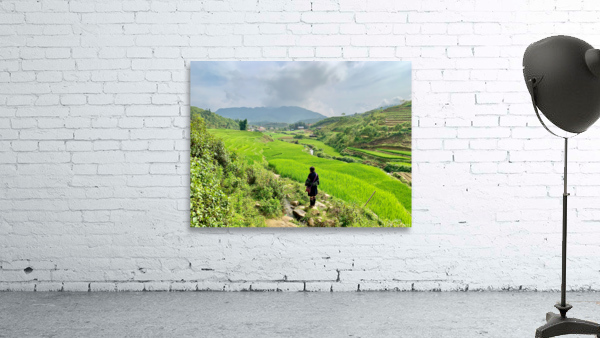 Looking Over the Rice Fields Wall Preview