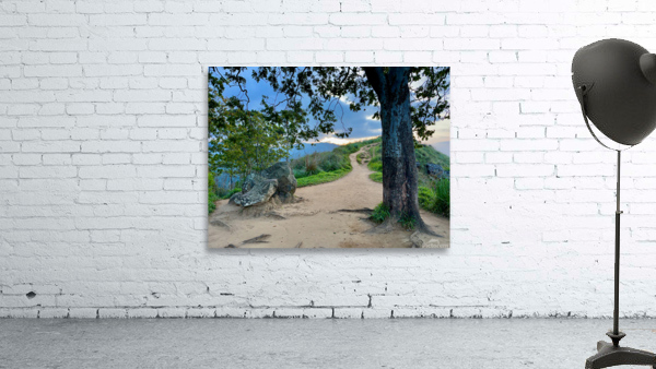 Mountain Path Wall Preview