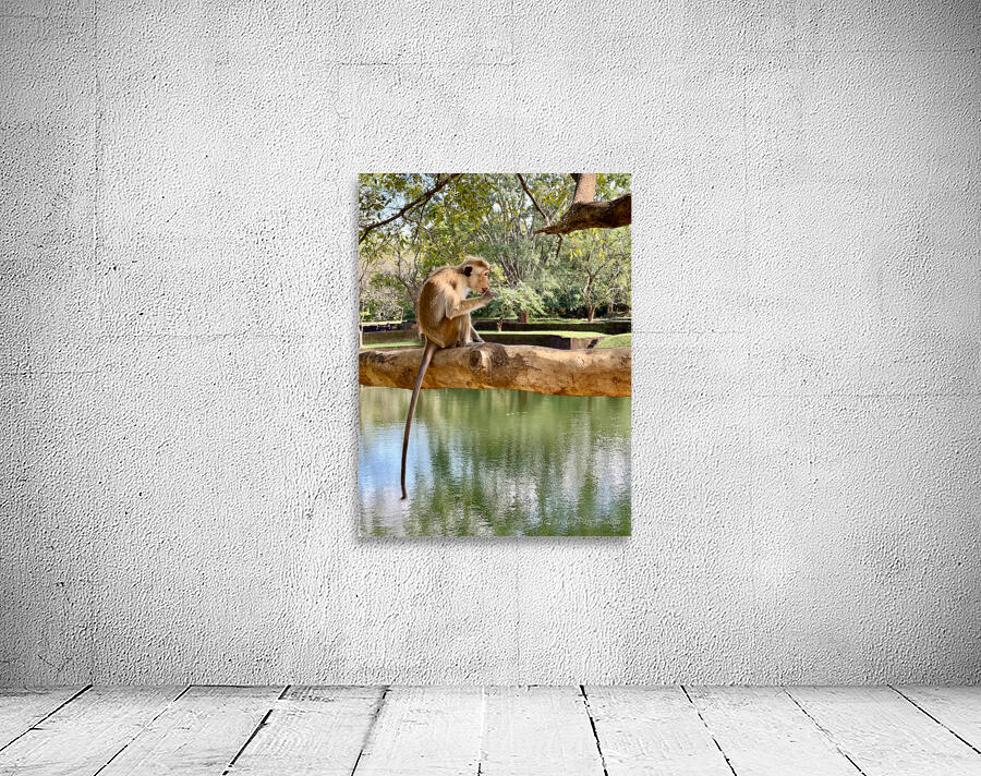 Monkey on a Branch Wall Preview