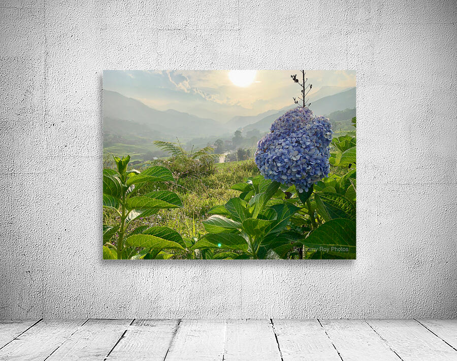 Purple Flowers for Sunset Wall Preview