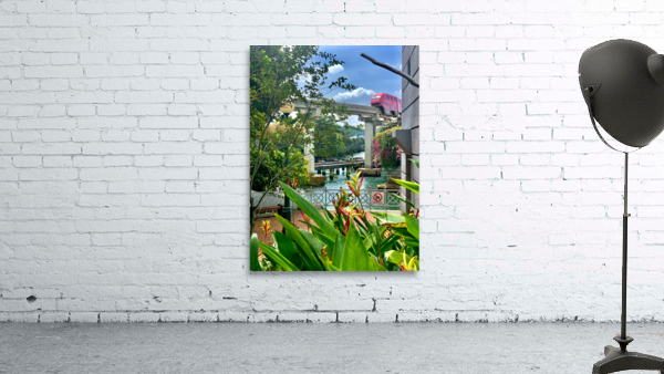 The Pink Train Wall Preview