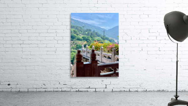 Beautiful Flowers on the Balcony with a View Wall Preview