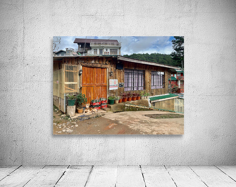 Beautiful Wooden House Wall Preview