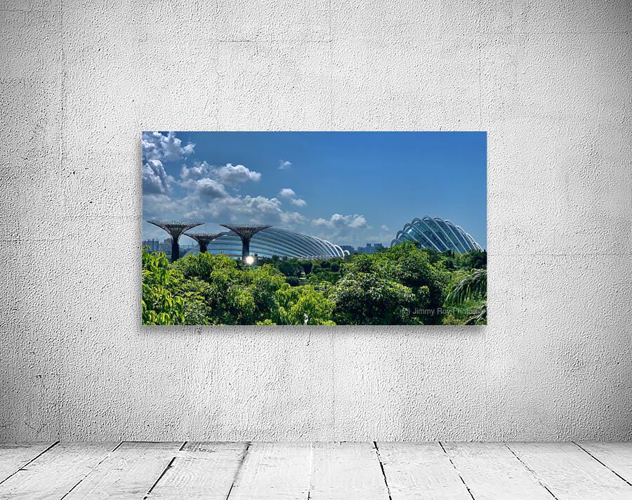 Gardens by the Bay Singapore 1 Wall Preview