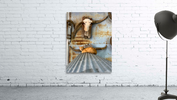 A Cat with Horns Wall Preview