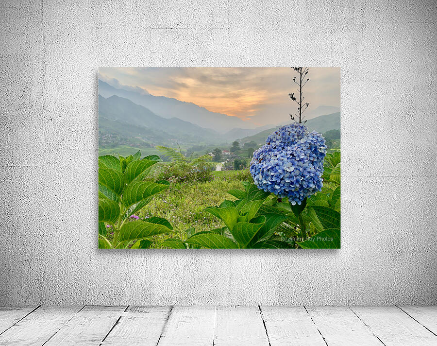 Purple Flowers for Sunset 2 Wall Preview