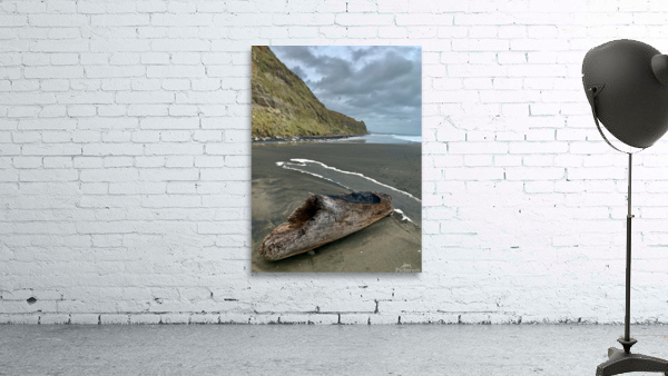 Nice Log on Black Sand Wall Preview