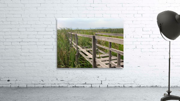 At Your Own Risks Wall Preview