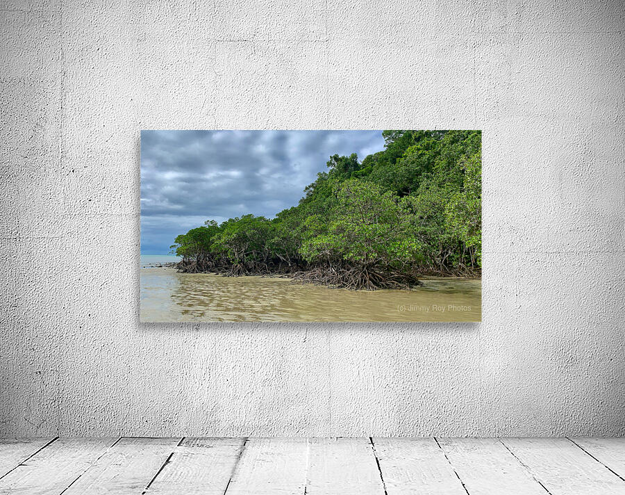 Mangroves Wall Preview