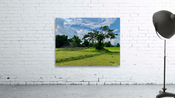 Life  and Death Wall Preview