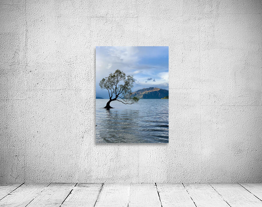The Wanaka Tree New Zealand 2 Wall Preview