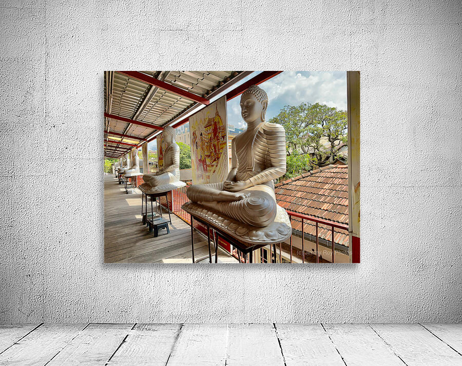 The White Buddhas Wall Preview