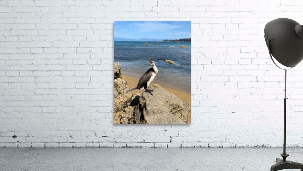 Angry Bird Wall Preview