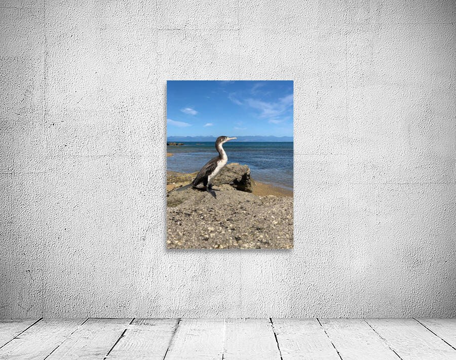 Bird Looking Straight Ahead Wall Preview