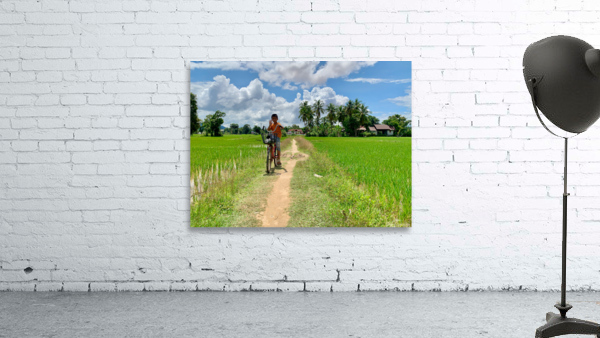 Cycling Back Home Wall Preview