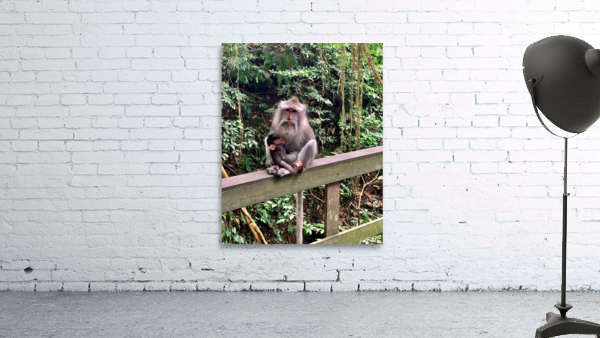 Mama Monkey Wall Preview