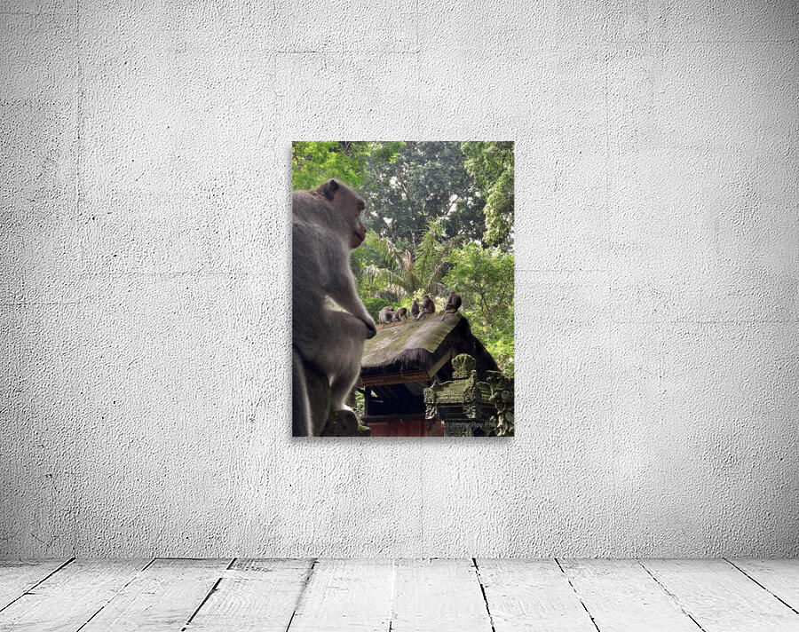 Monkeys on the Roof Wall Preview