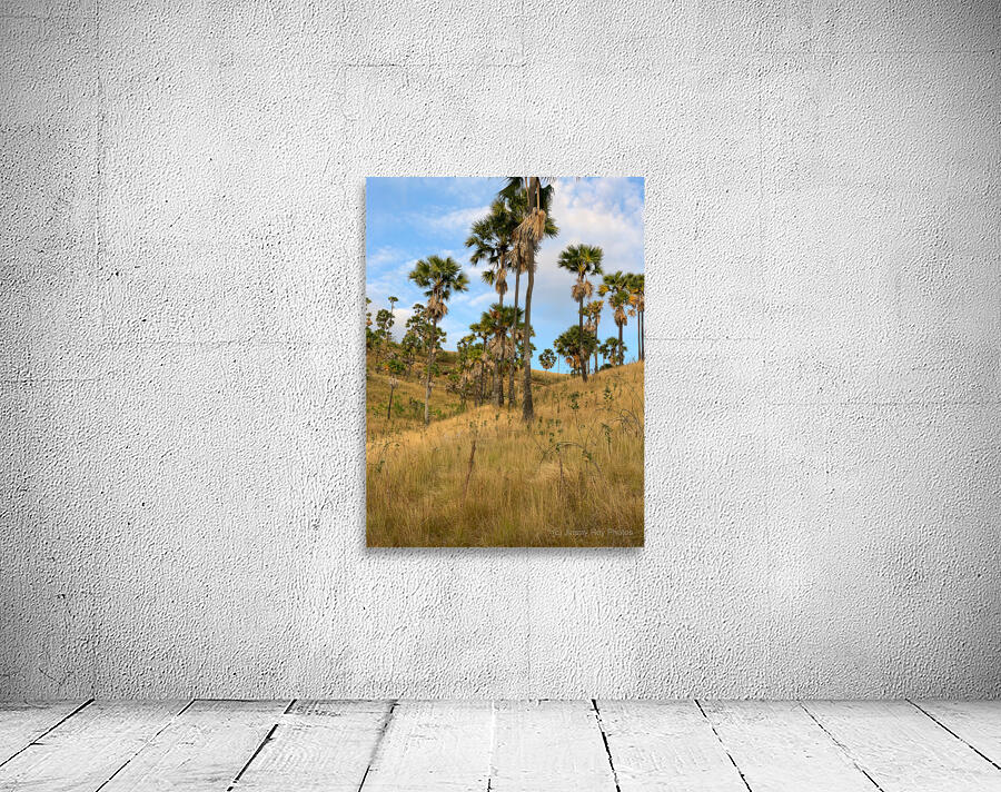 Palm Trees on the Hills Wall Preview