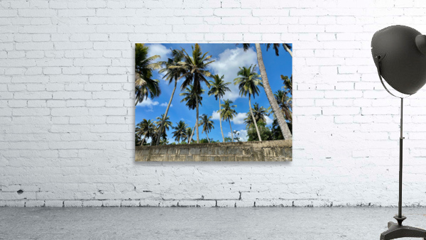 Palm Trees behind the Wall Wall Preview