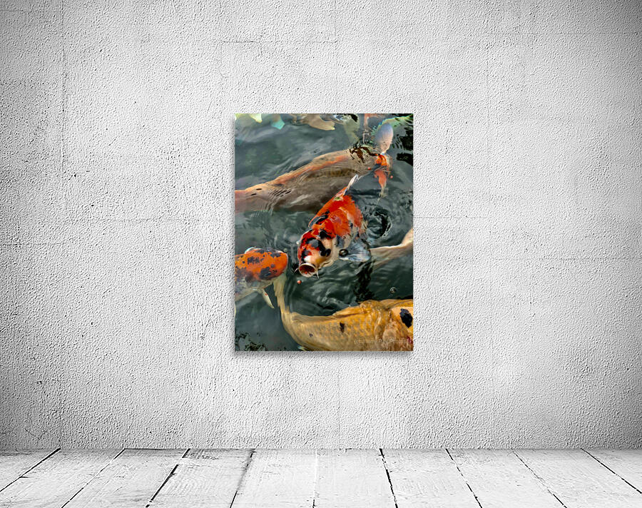 Plenty of Colorful Fish Wall Preview