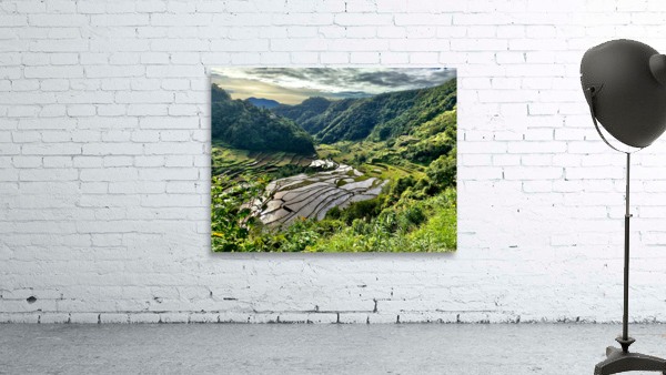 Nice Watery Rice Fields Wall Preview