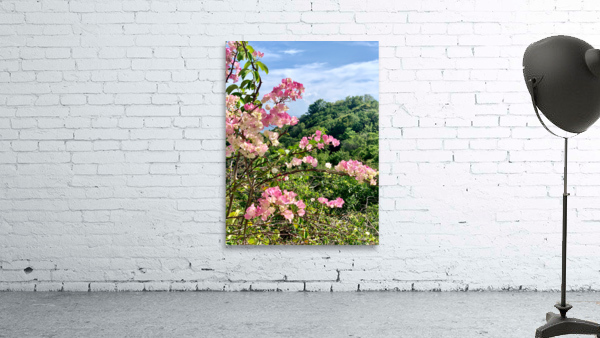 Pretty Pink Flowers Wall Preview