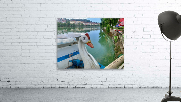 Swan Boat on the Lake Wall Preview