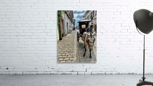 Horse Around Vigan Philippines Wall Preview