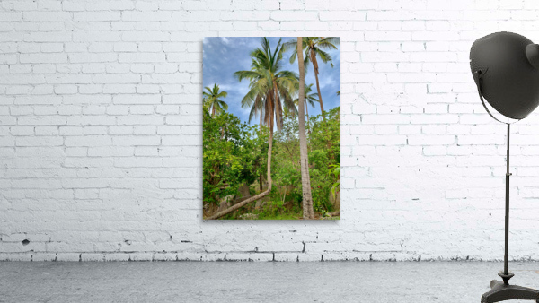 L Palm Tree Wall Preview