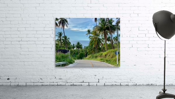 Palm Tree Road Wall Preview