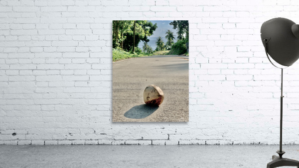 Coconut Shadow Wall Preview