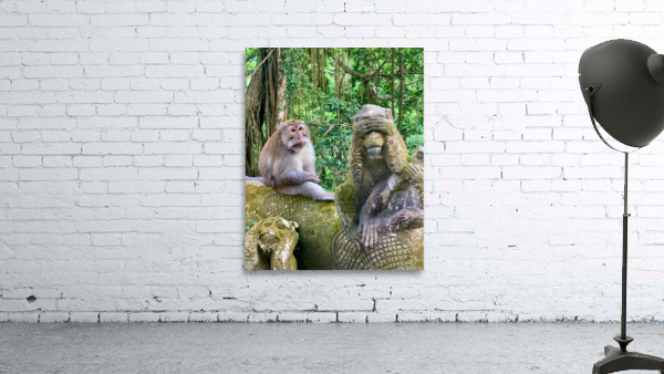 Are you for Real Monkey  Wall Preview