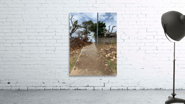 Cycling Up the Hill Wall Preview