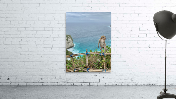 Last Monkey Standing Wall Preview