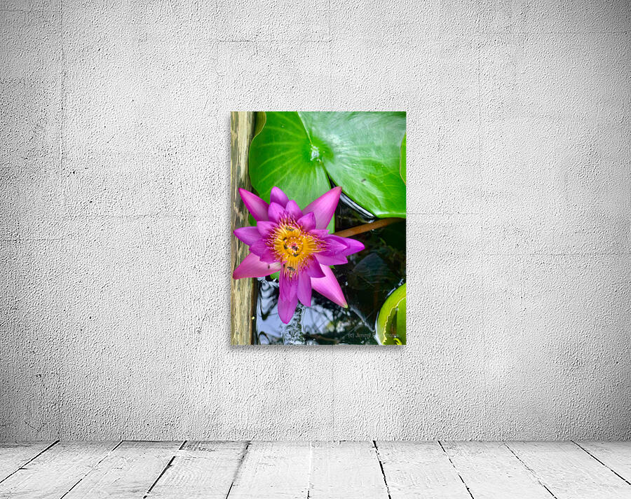 Purple Flower Wall Preview