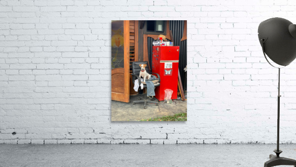 The Red Fridge and the Dog 2 Wall Preview