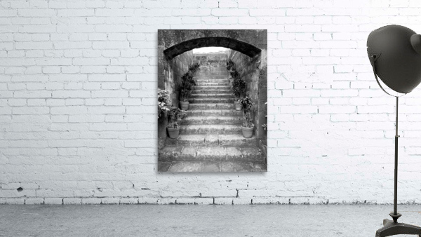 BW Stairs  Plants Wall Preview