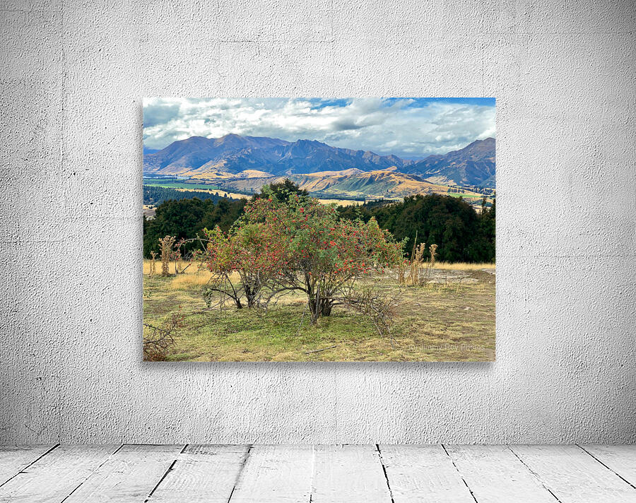 View From Mount Iron New Zealand After a Storm 6. Wall Preview