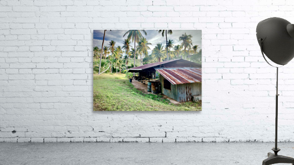 Big Rusty Shack Coconut Wall Preview