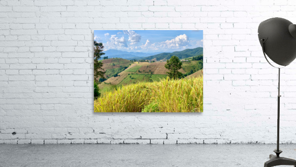 Amazing Landscape 3 Wall Preview