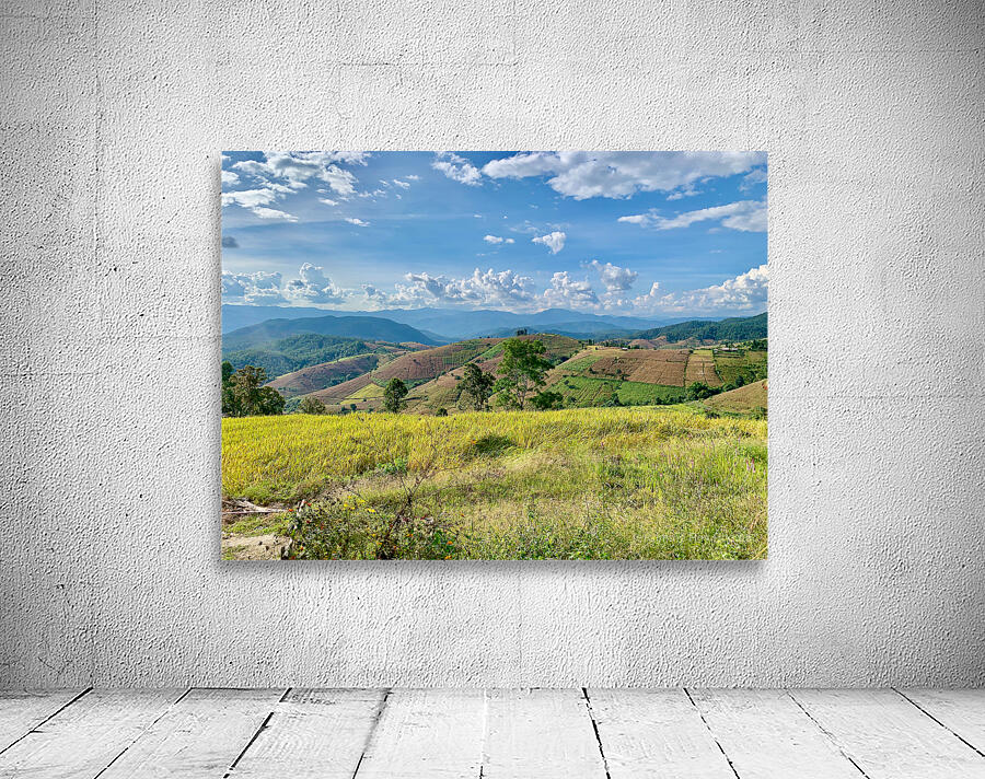 Amazing Landscape 2 Wall Preview