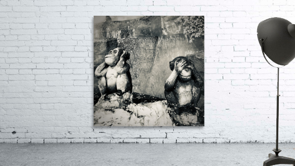 BW Didn t See it Didn t Hear it Monkeys Wall Preview
