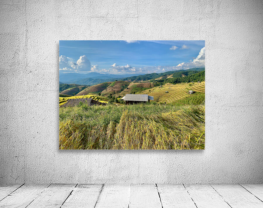 Colorful Rice Fields Wall Preview